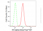 KD-Validated Anti-IKK alpha Rabbit Monoclonal Antibody